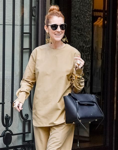 does celine dion make celine bags|Celine handbags online outlet.